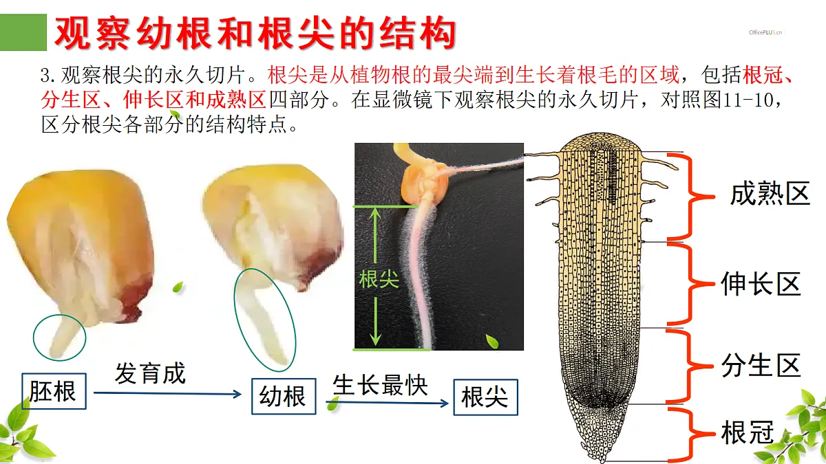 18300393第7页