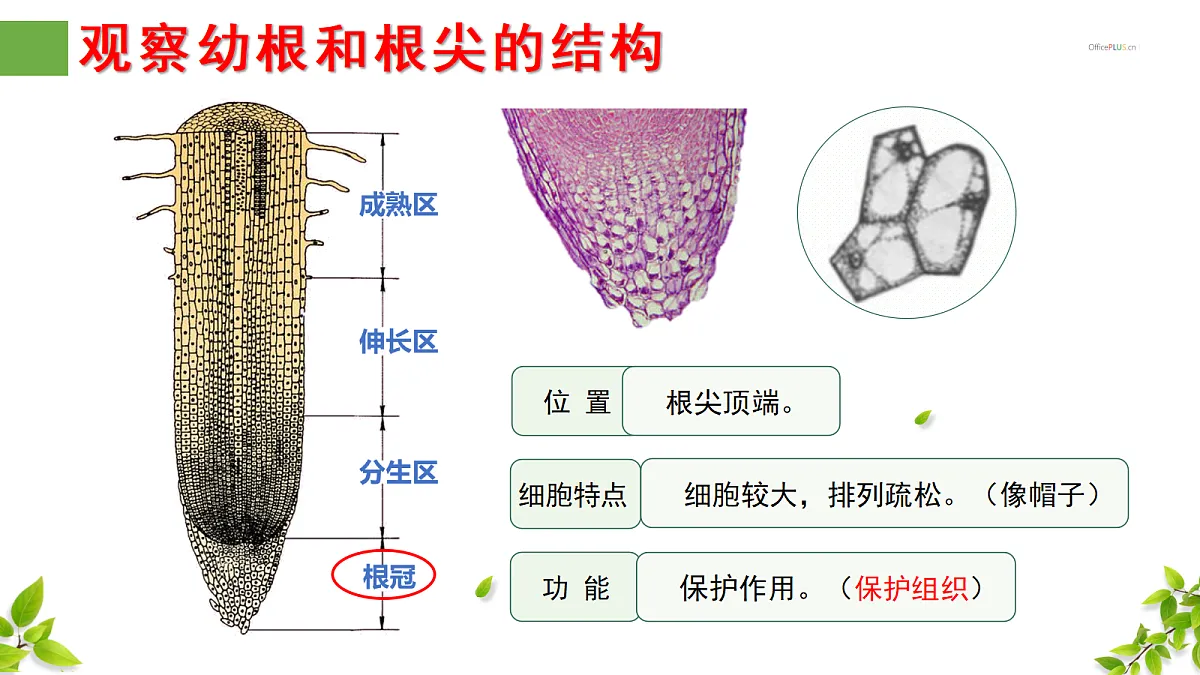 18300393第8页