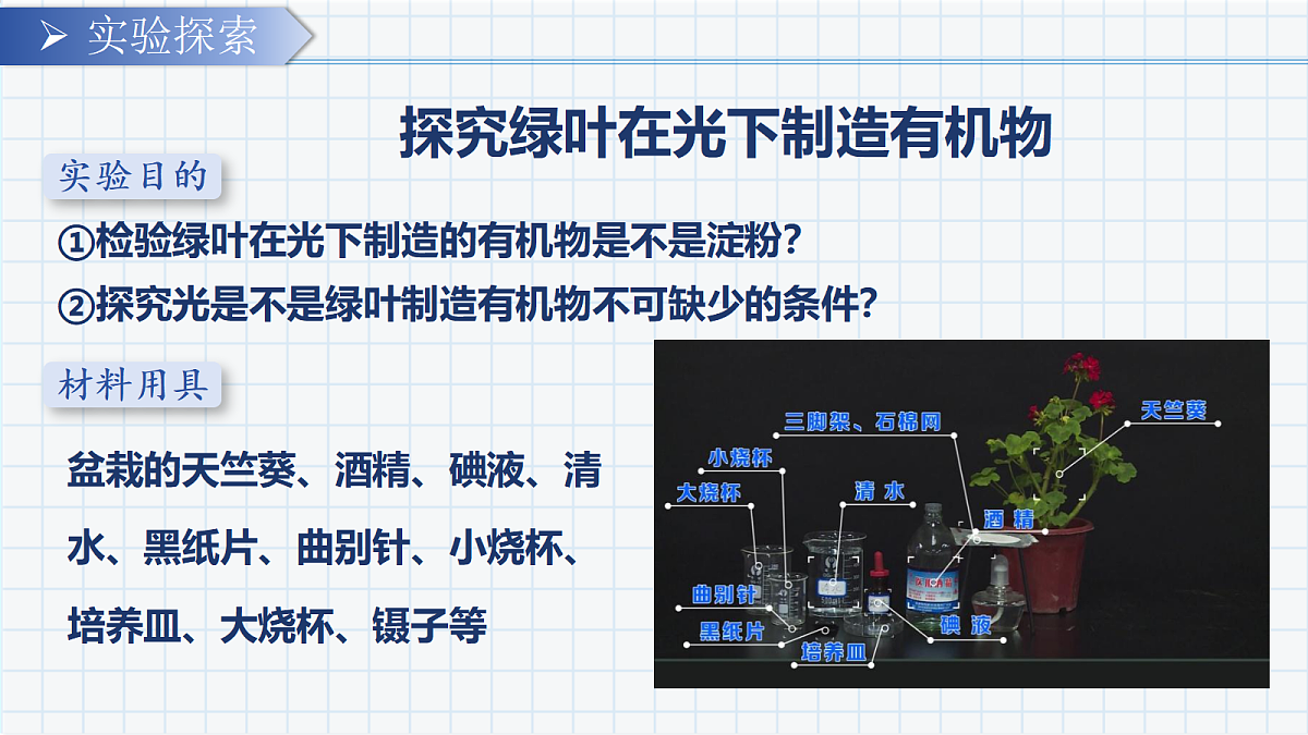 18303796第4页