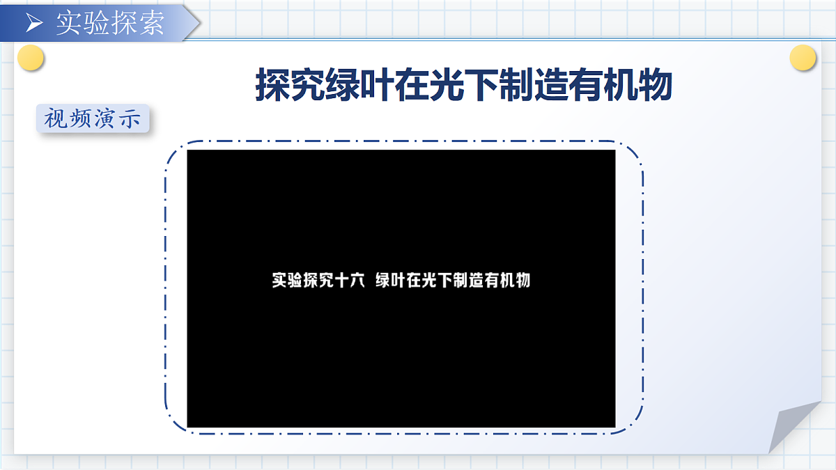 18303796第5页