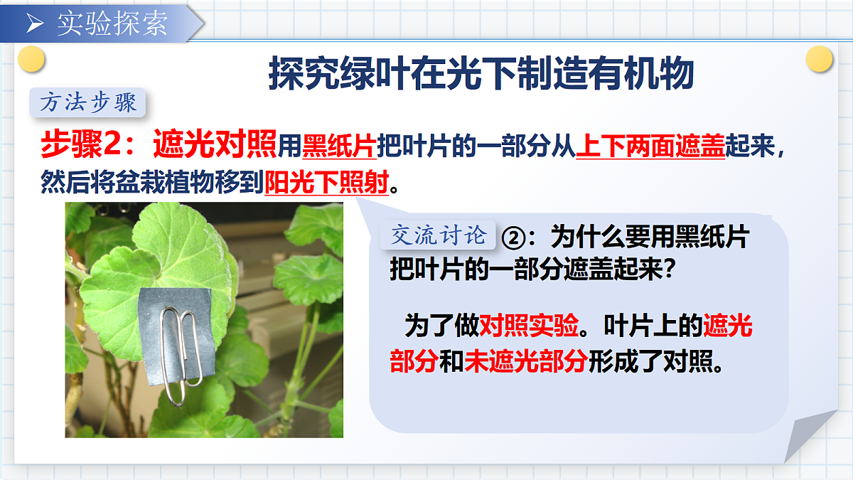 18303796第7页