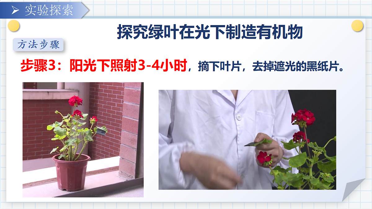 18303796第8页