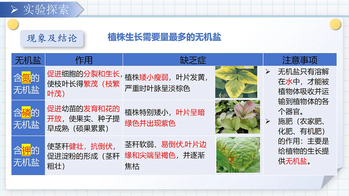 18303798第7页