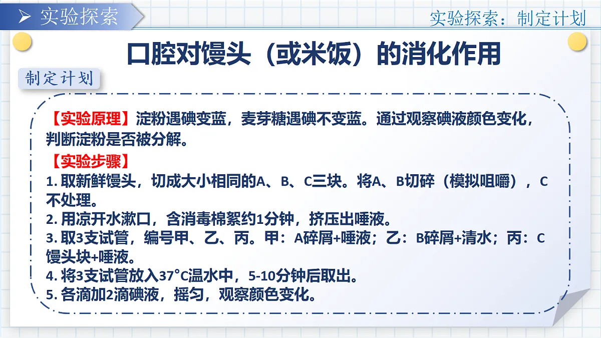 18303799第5页