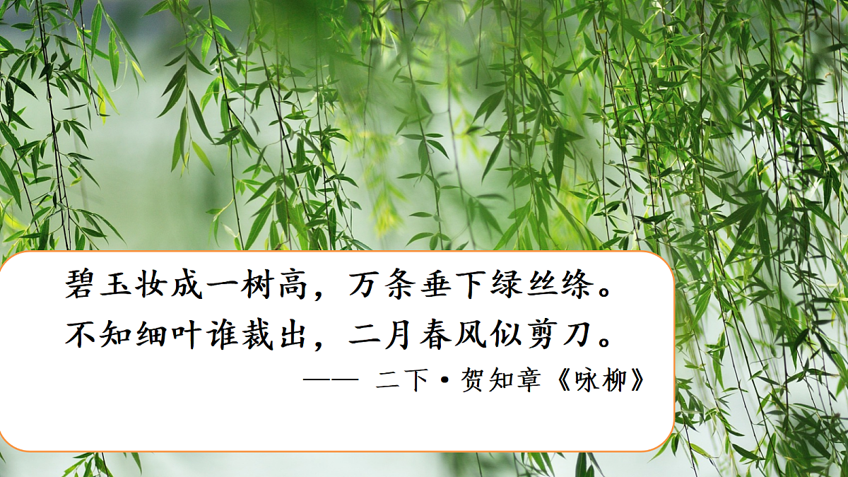 18304132第2页