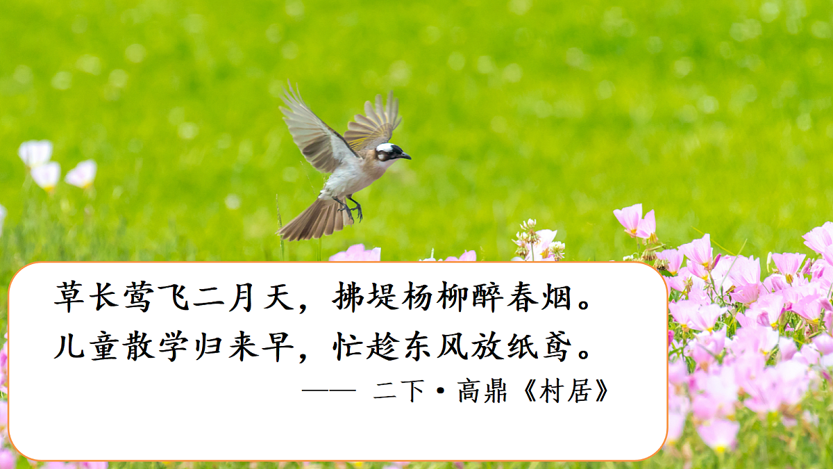 18304132第3页