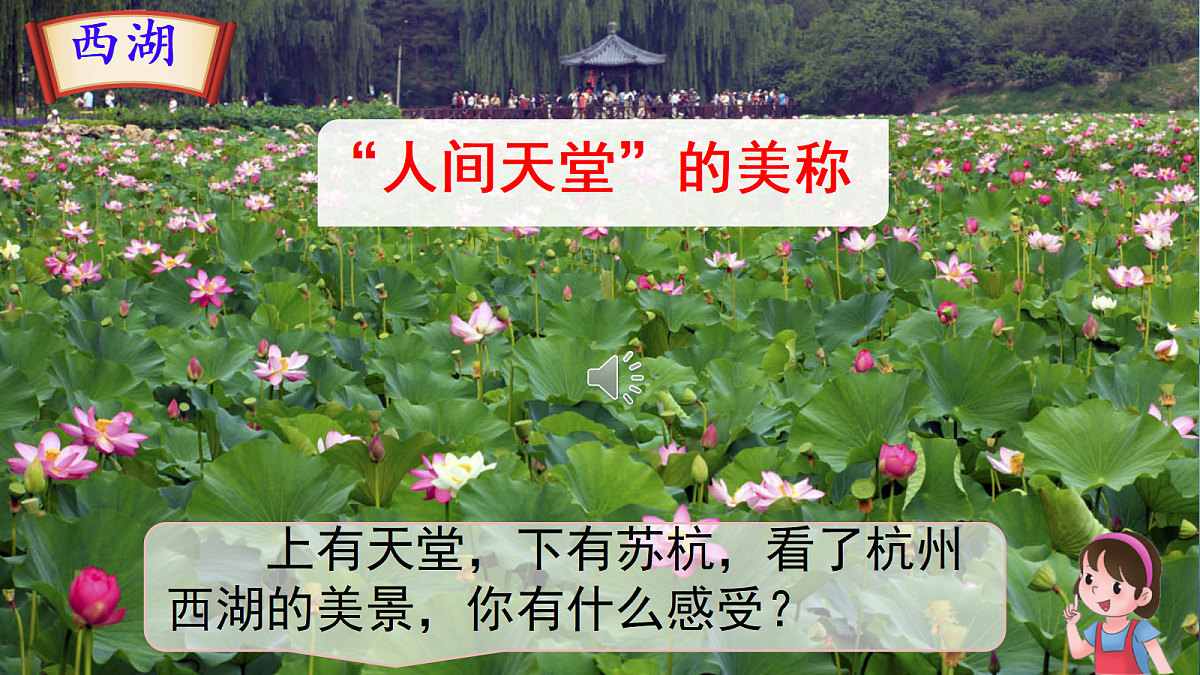 18304136第4页