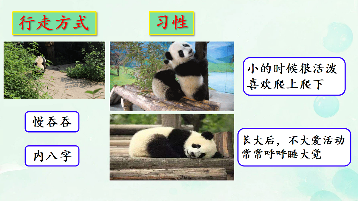 18304211第8页