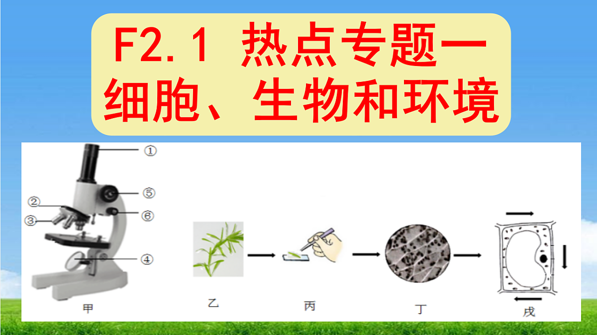 18304269第1页