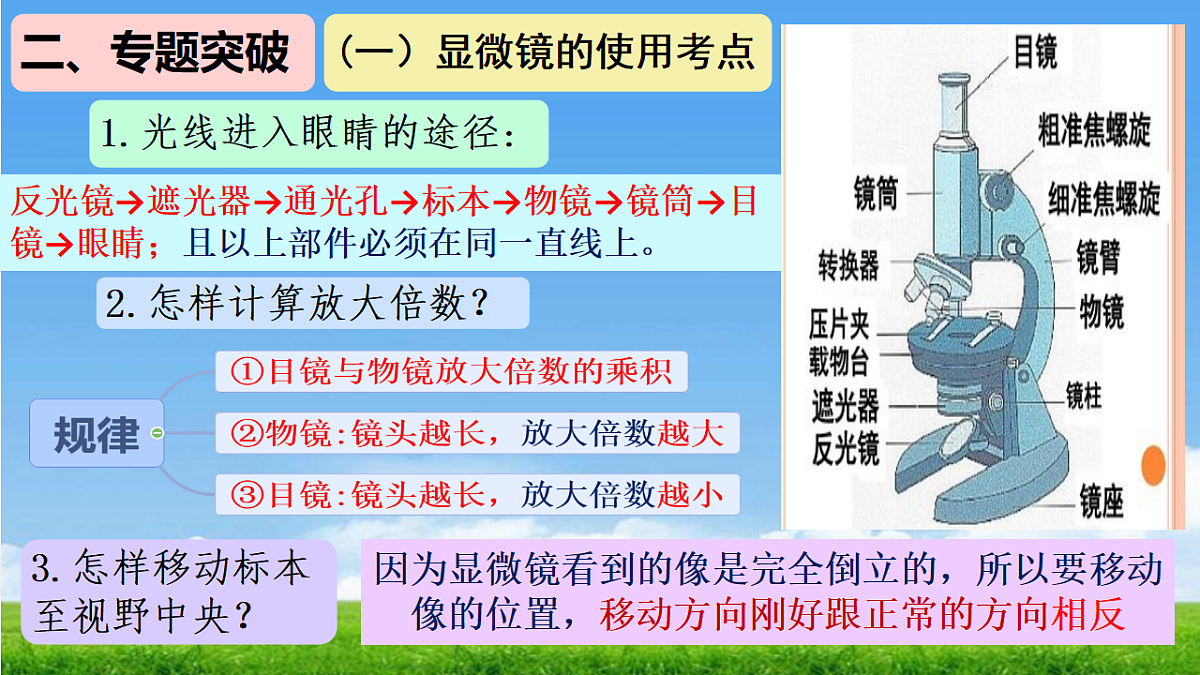 18304269第3页