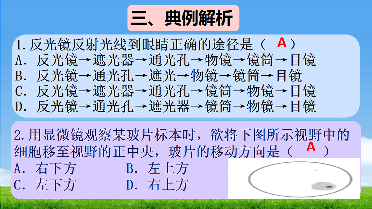 18304269第7页