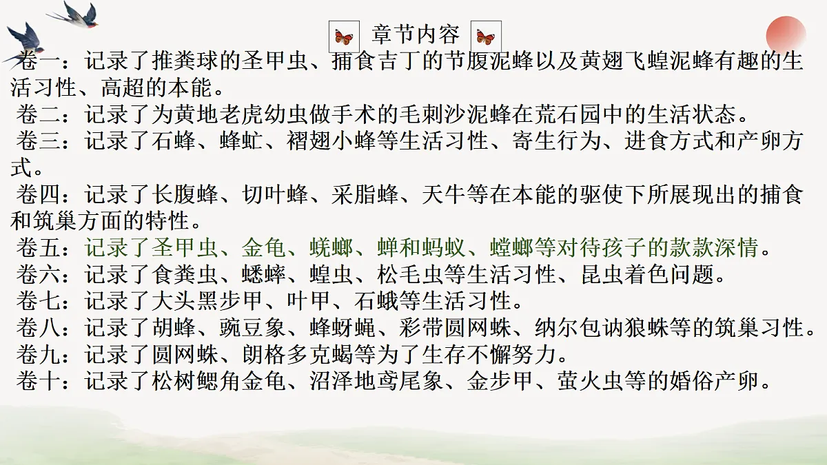 18304281第4页