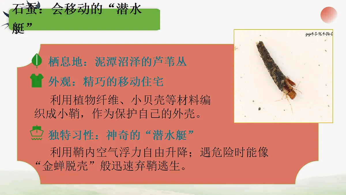 18304281第5页