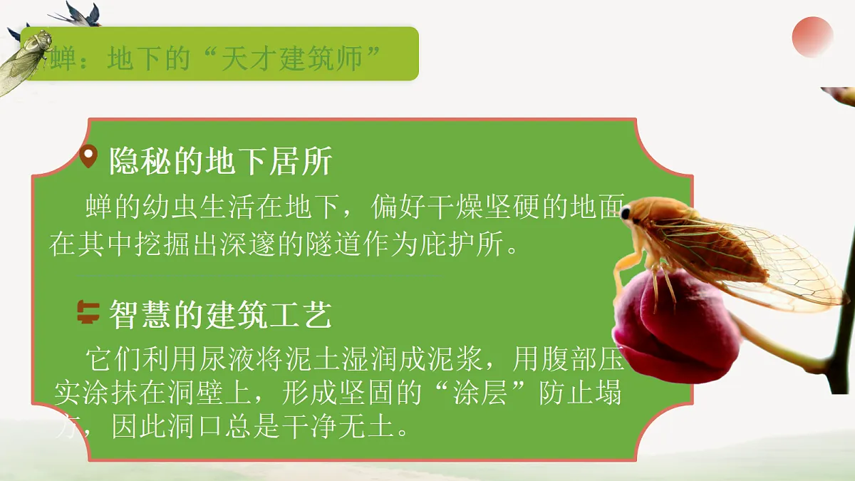 18304281第7页