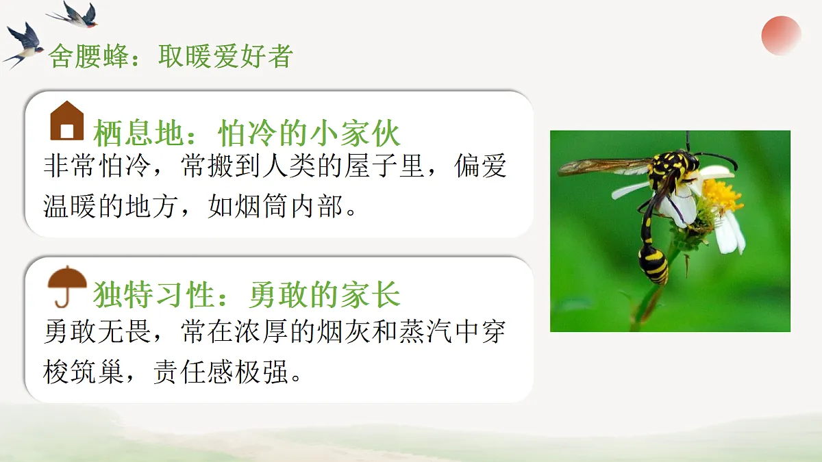 18304281第8页