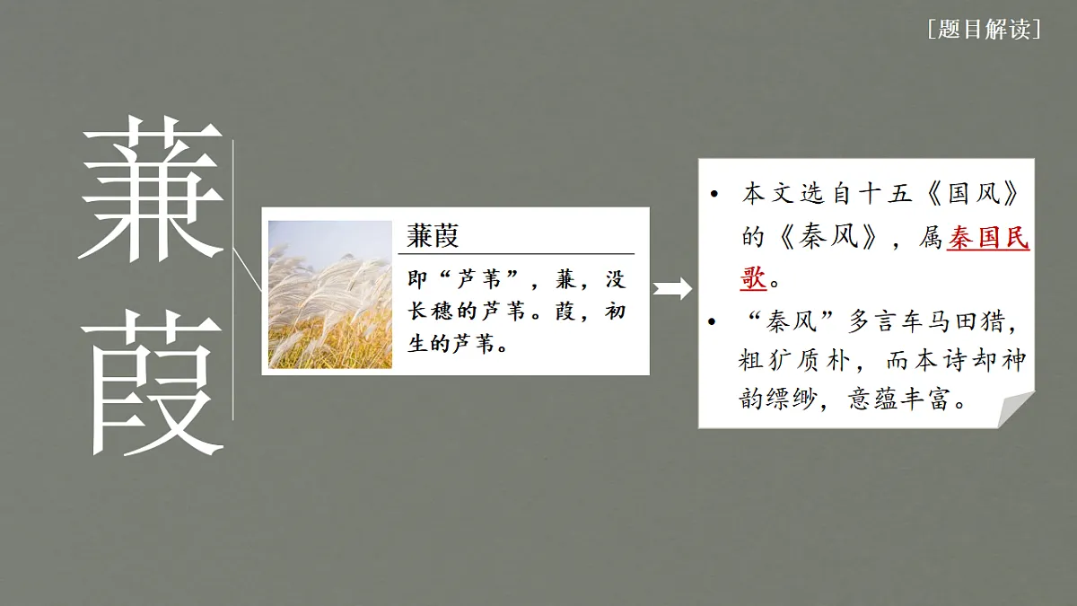 18304282第3页