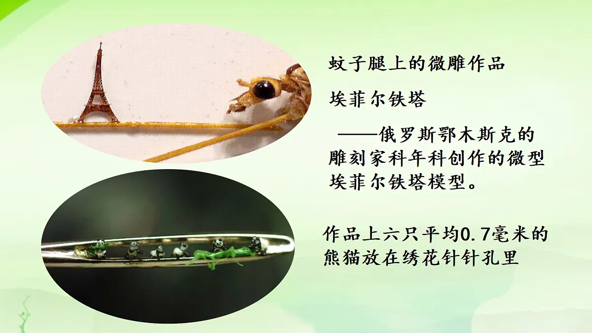 18304283第5页