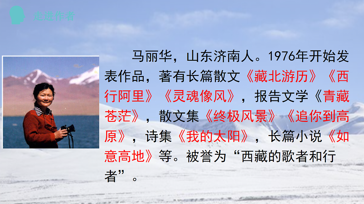 18304288第5页