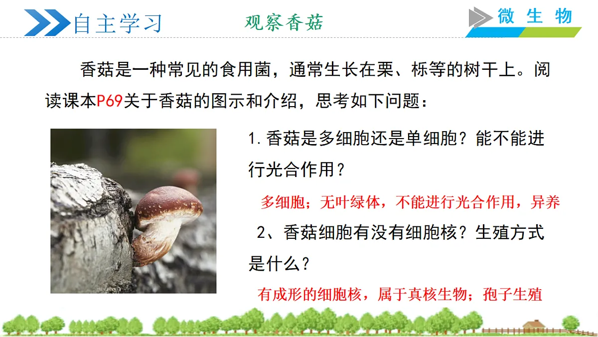 18305360第4页
