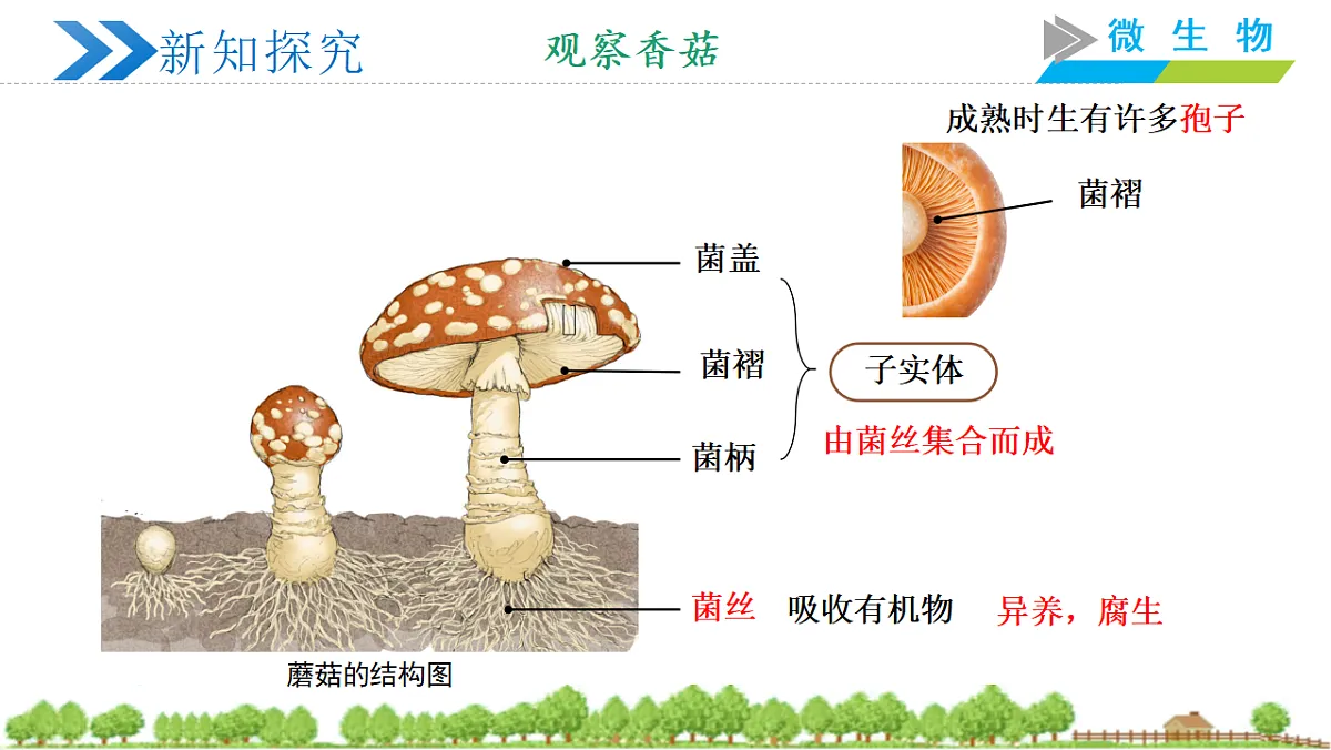 18305360第5页