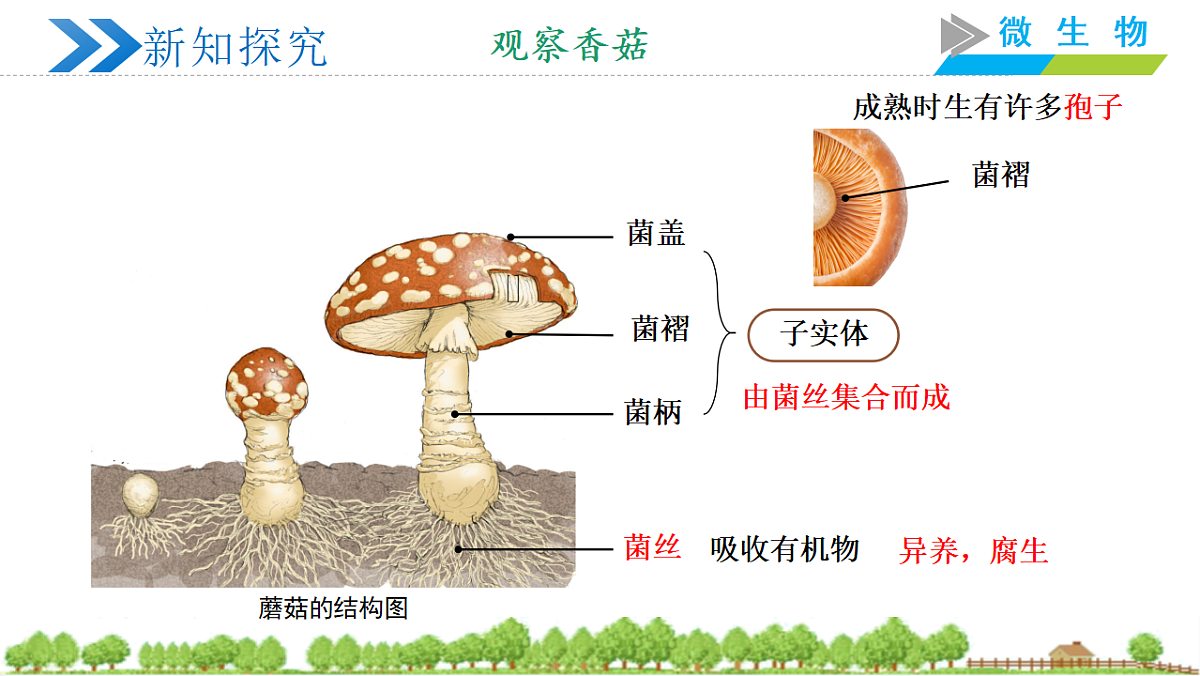 18305360第5页