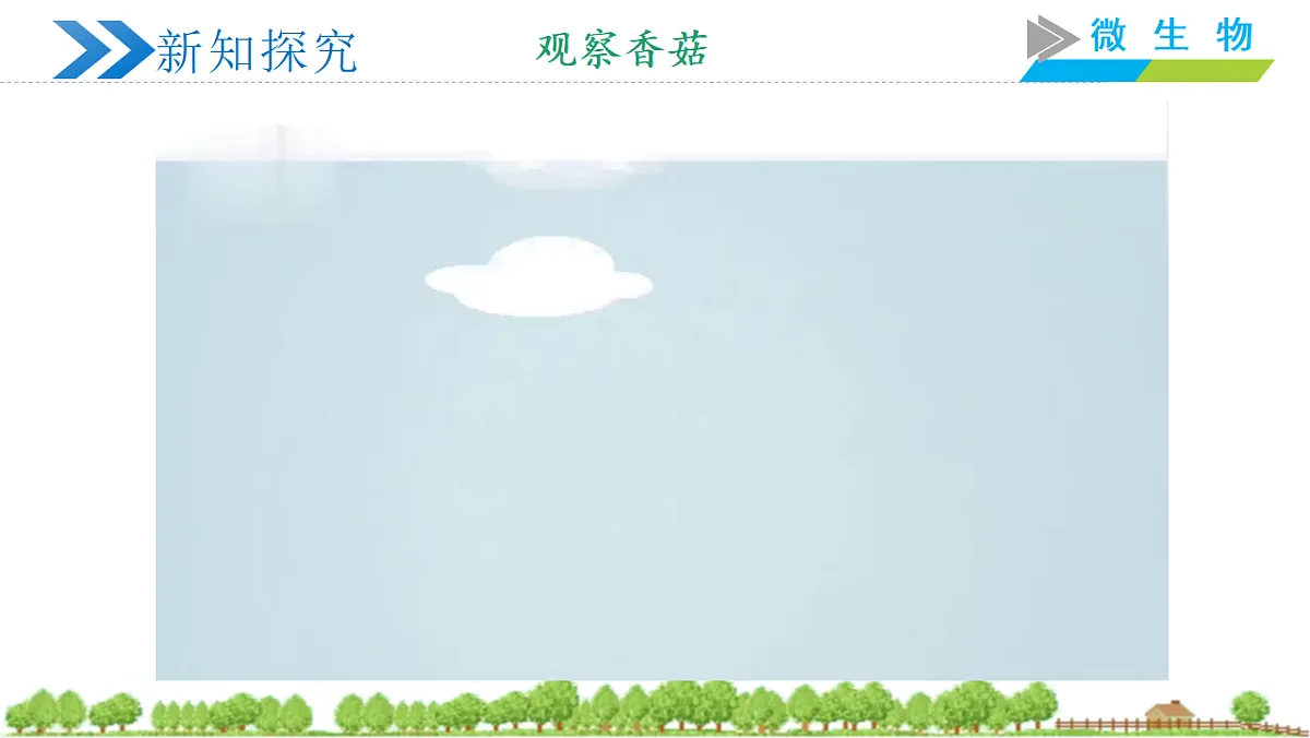 18305360第6页