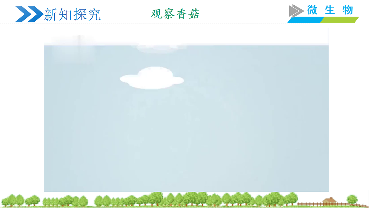 18305360第6页