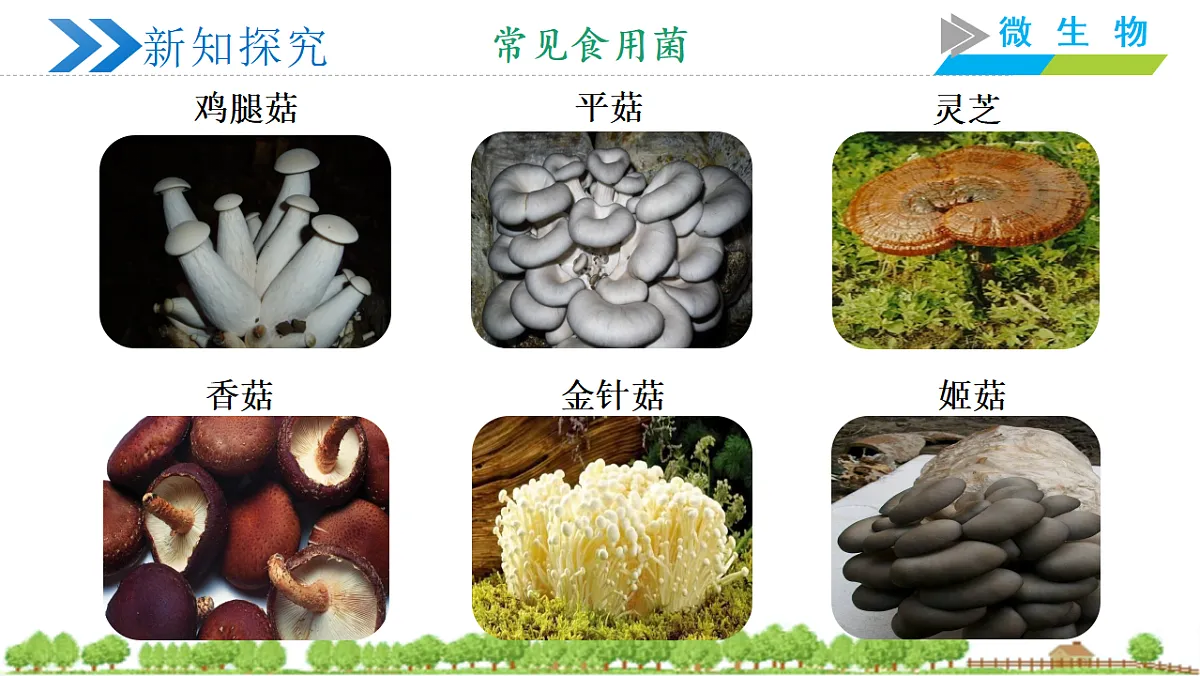 18305360第7页