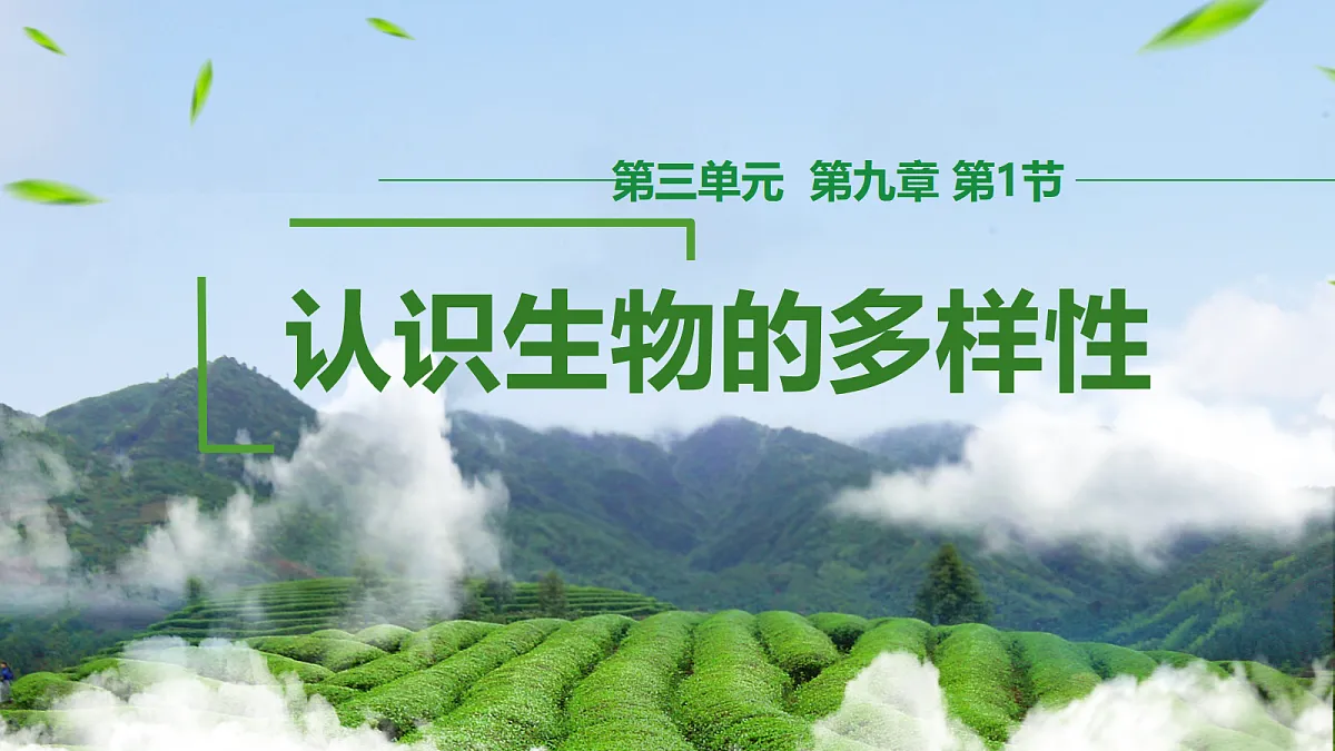 18305366第1页