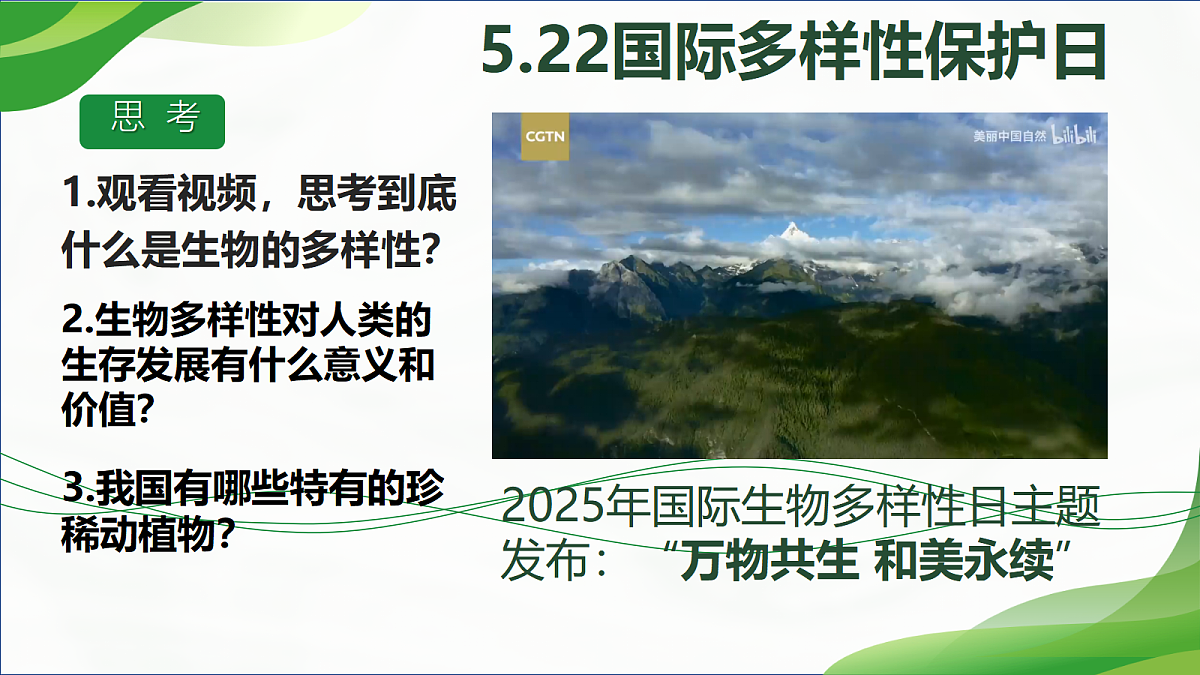 18305366第2页