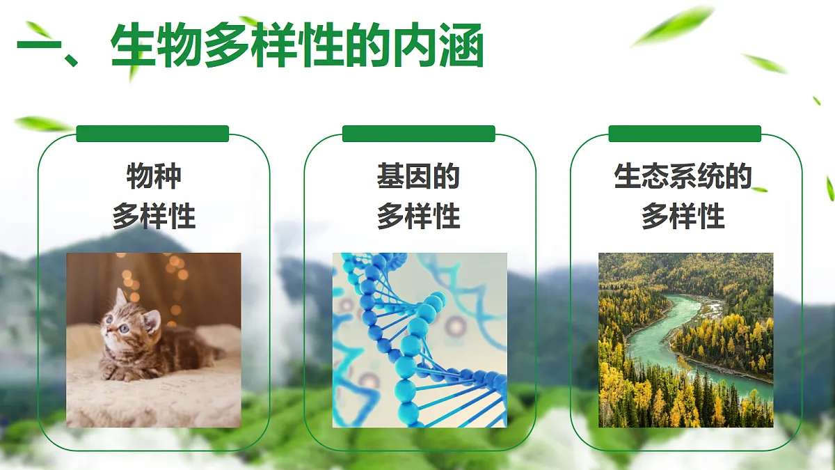 18305366第3页