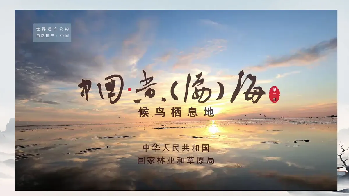 18305379第2页