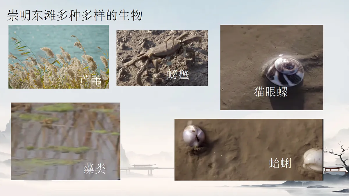 18305379第3页