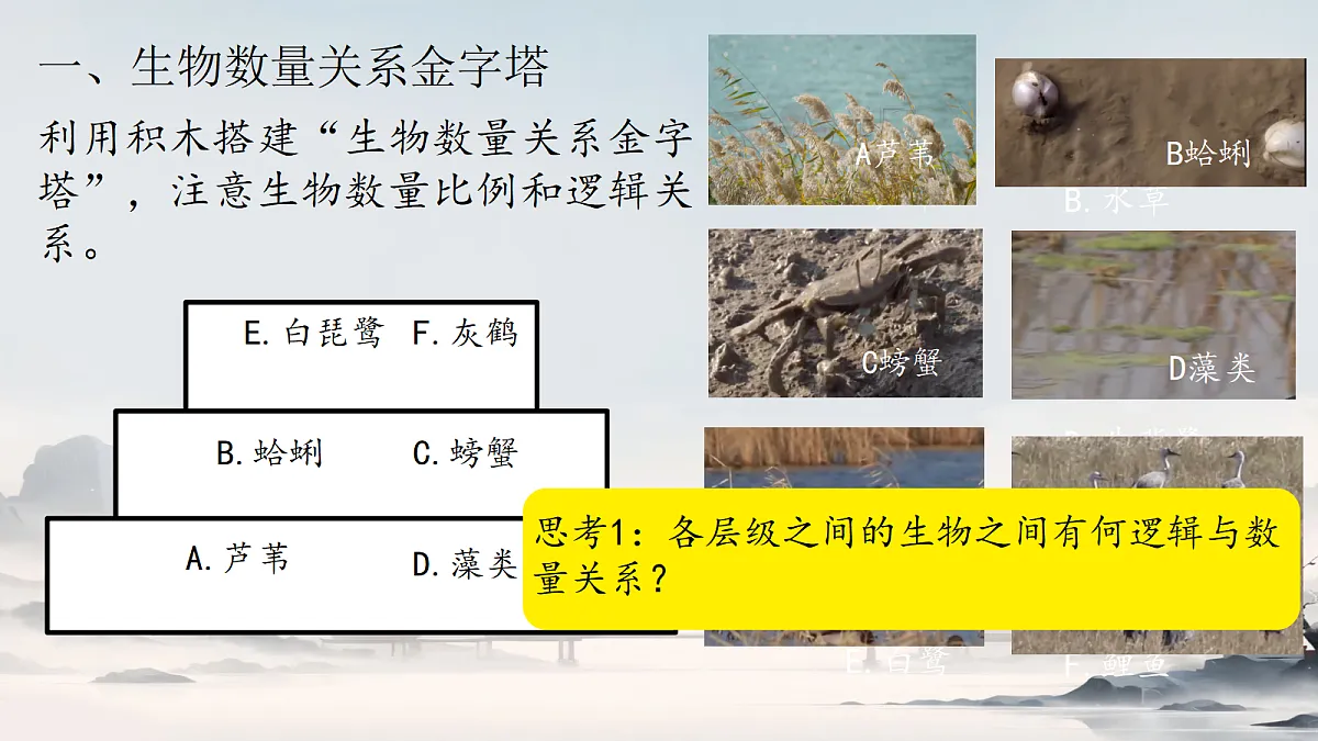 18305379第5页