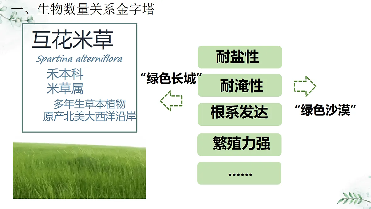 18305379第6页