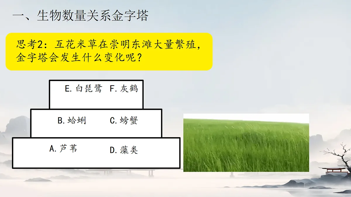 18305379第7页