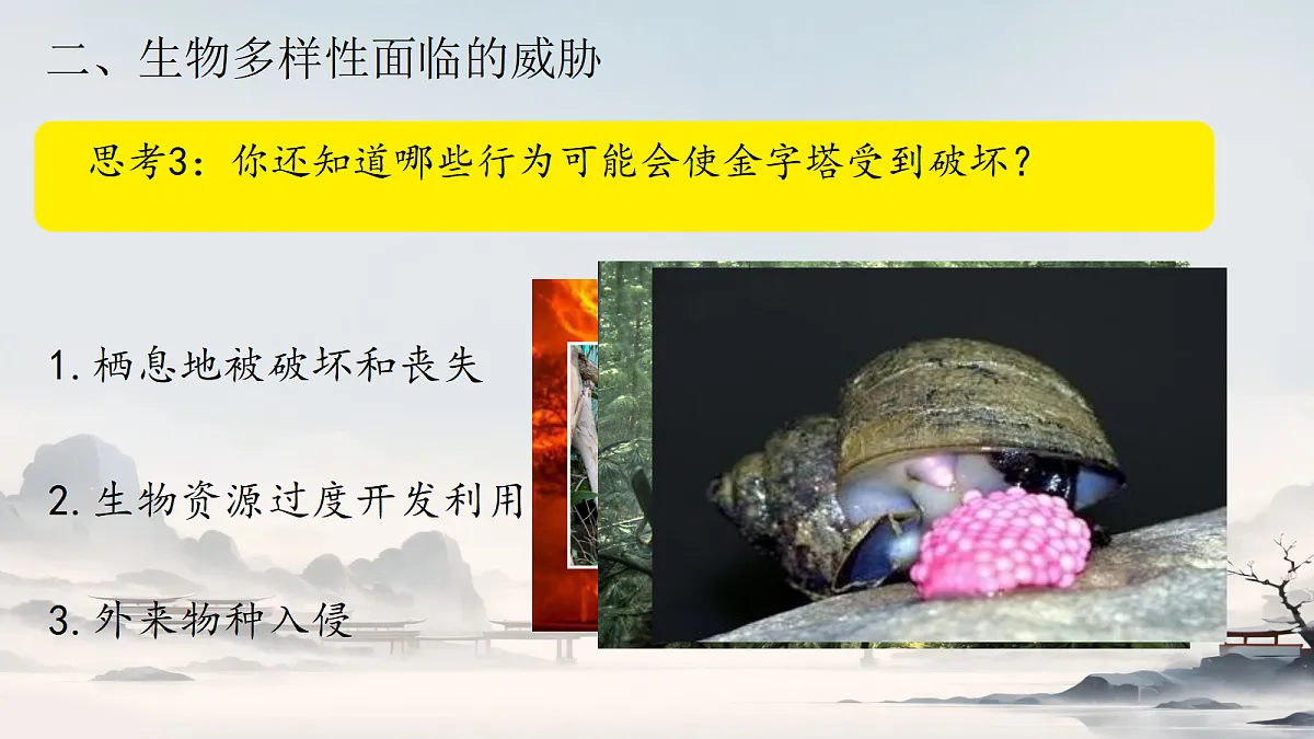 18305379第8页
