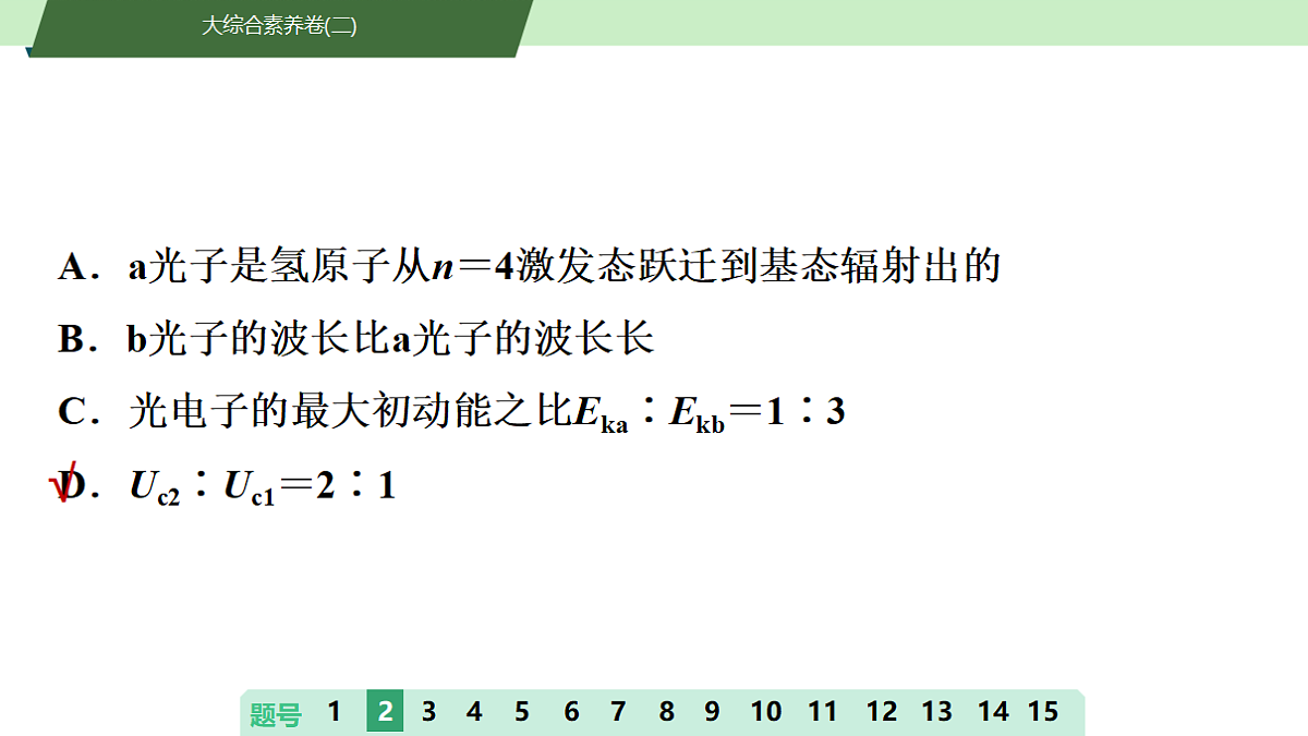 33　大综合素养卷(二)第7页