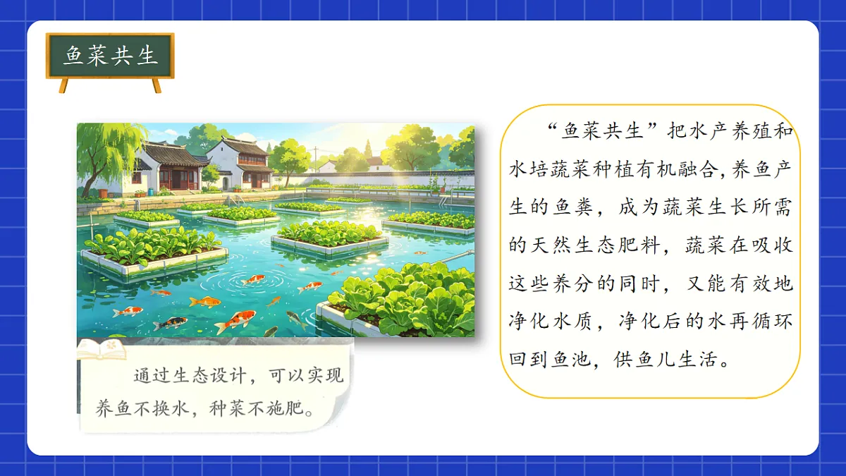 18305724第4页