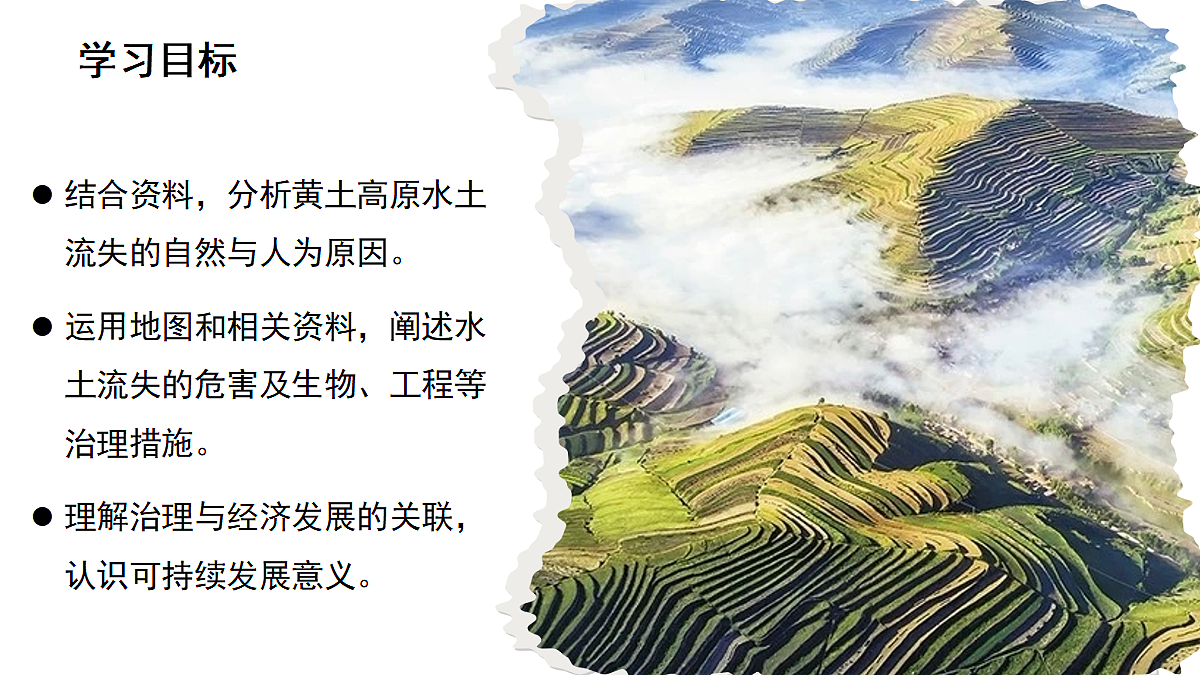 18305916第3页