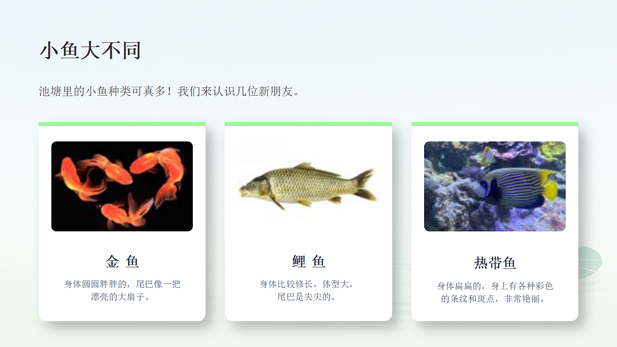 18309201第6页