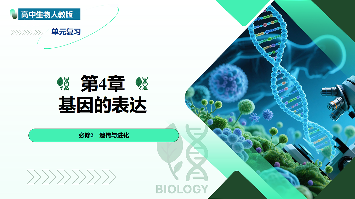 18310293第1页