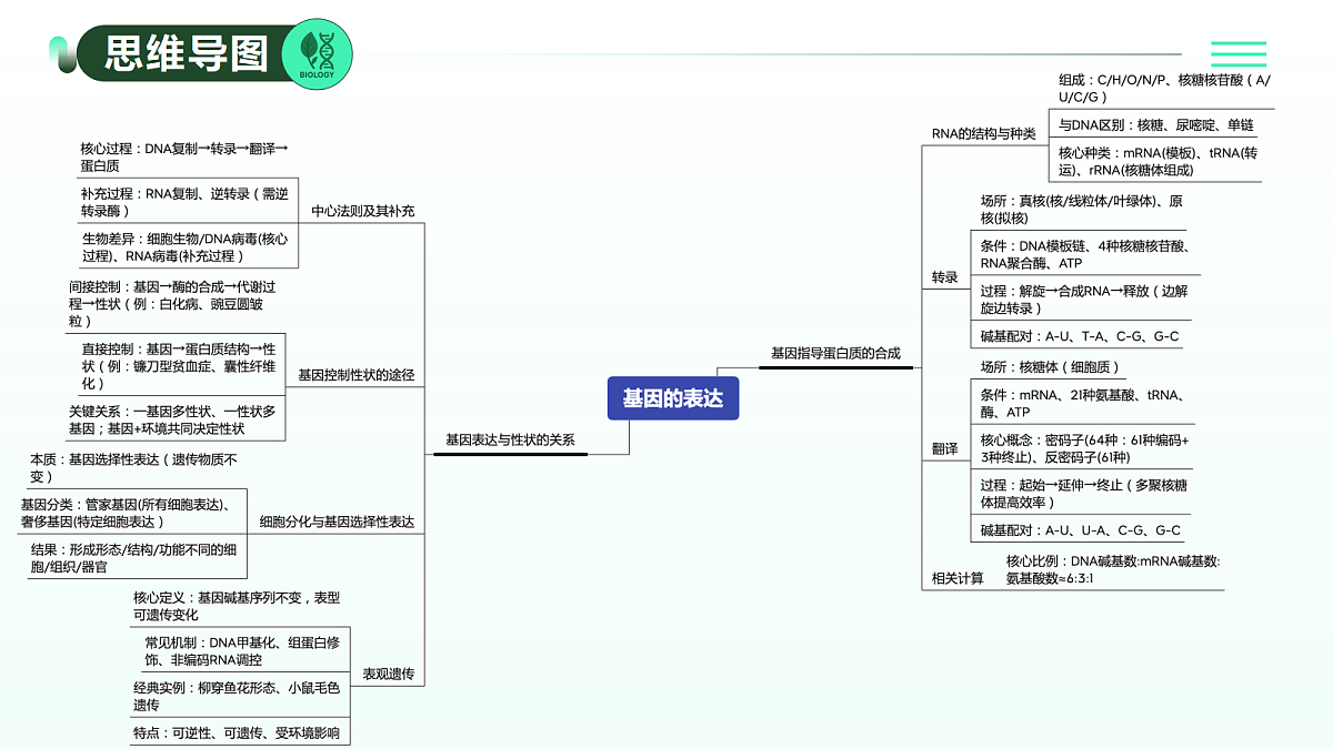 18310293第3页