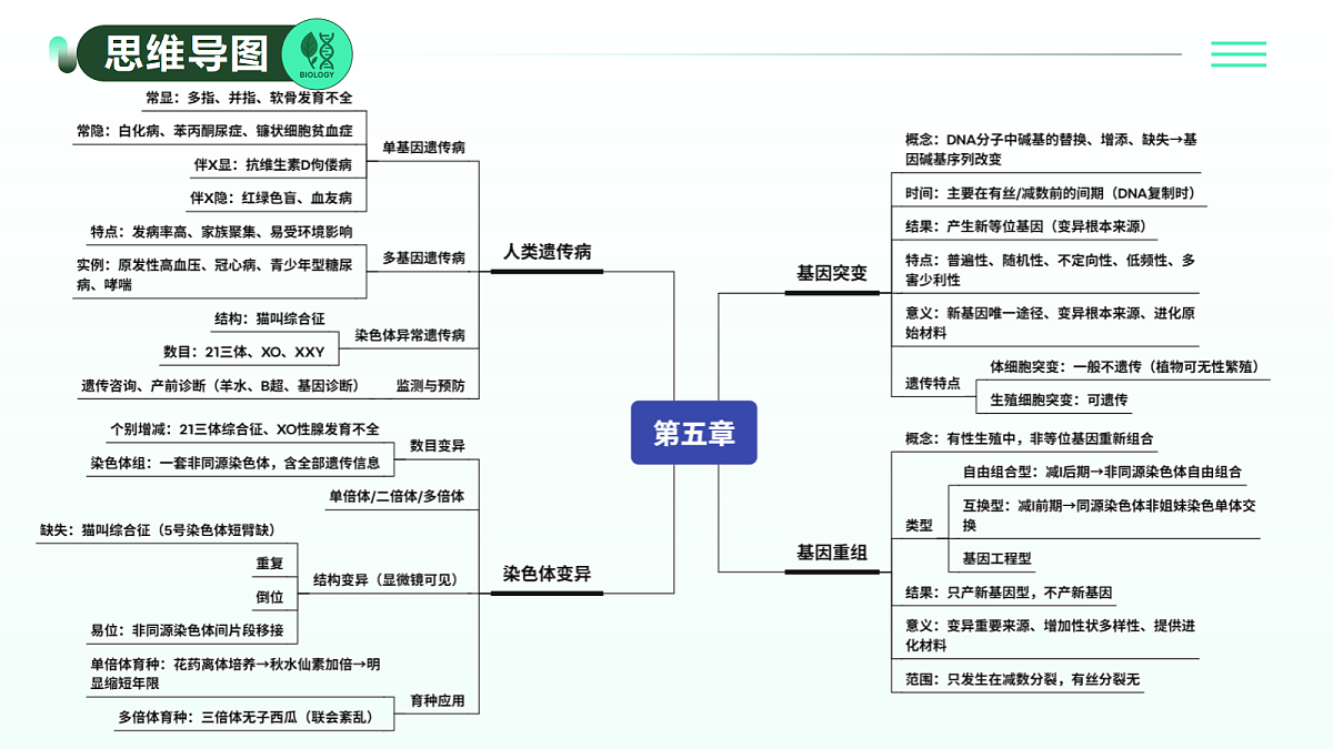 18310294第3页