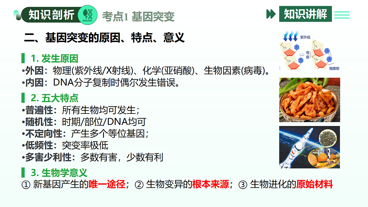 18310294第5页