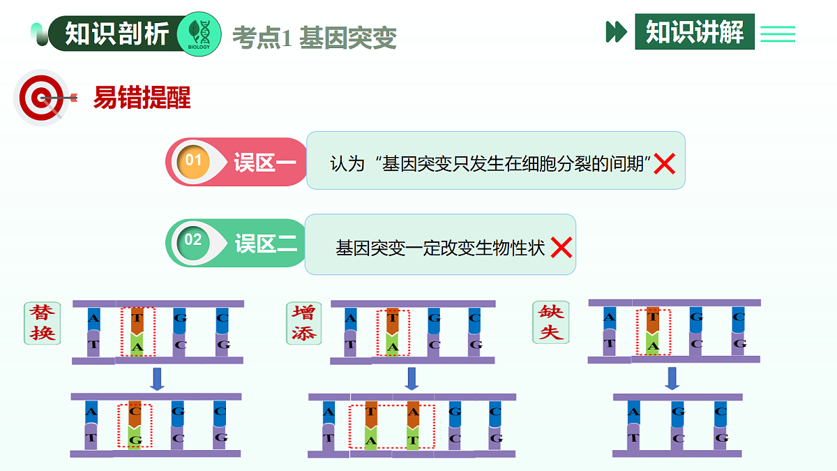 18310294第6页