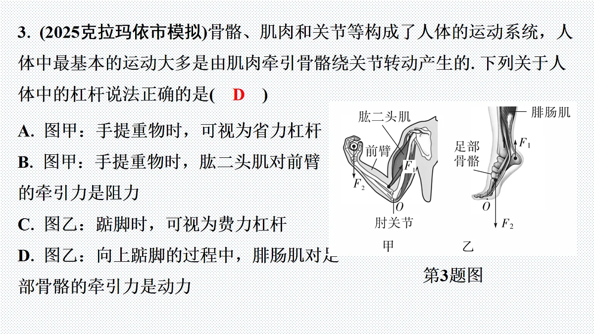 18310582第4页