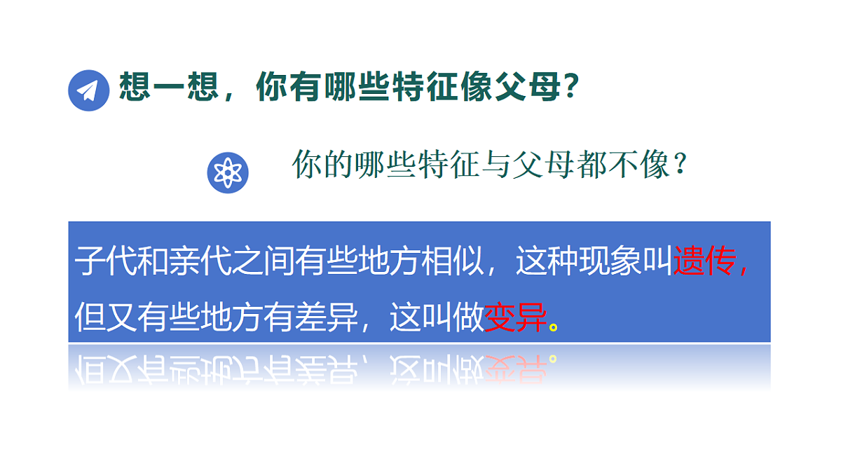 18313389第3页