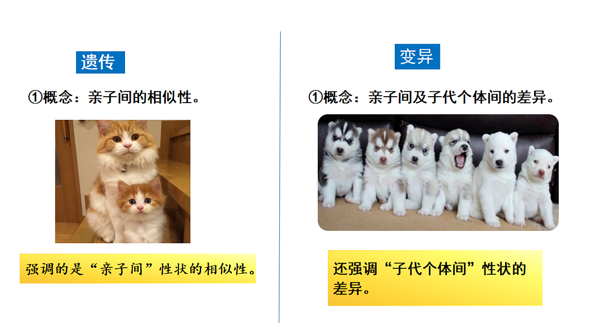 18313389第4页