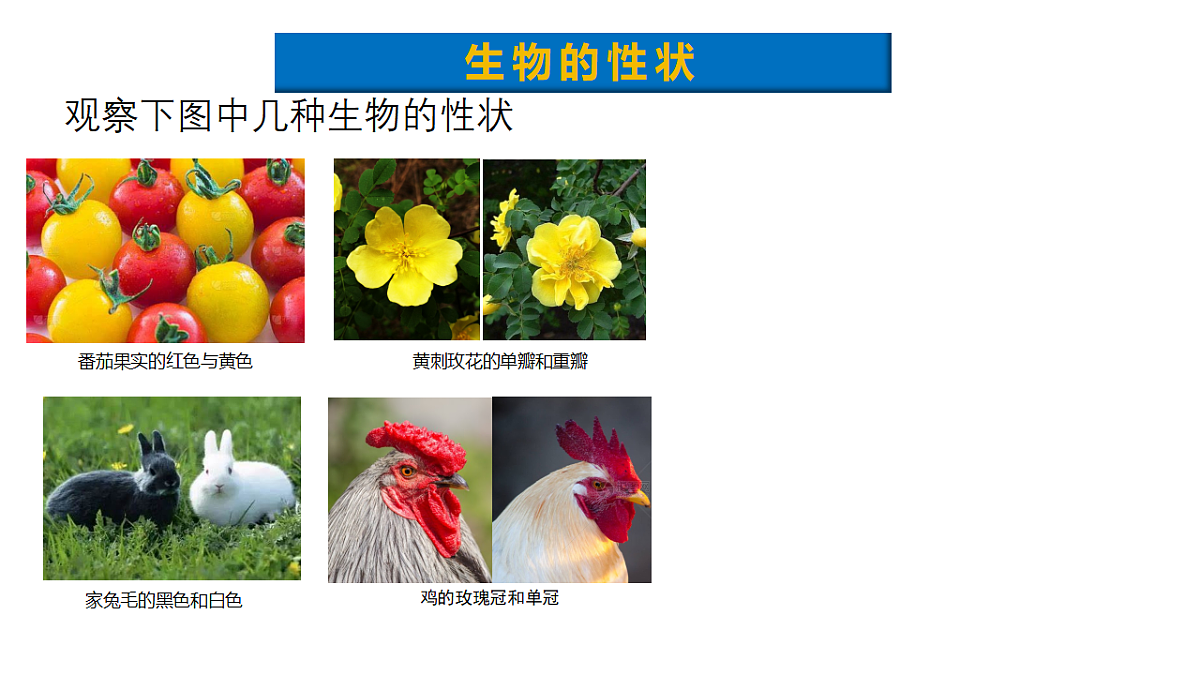 18313389第5页